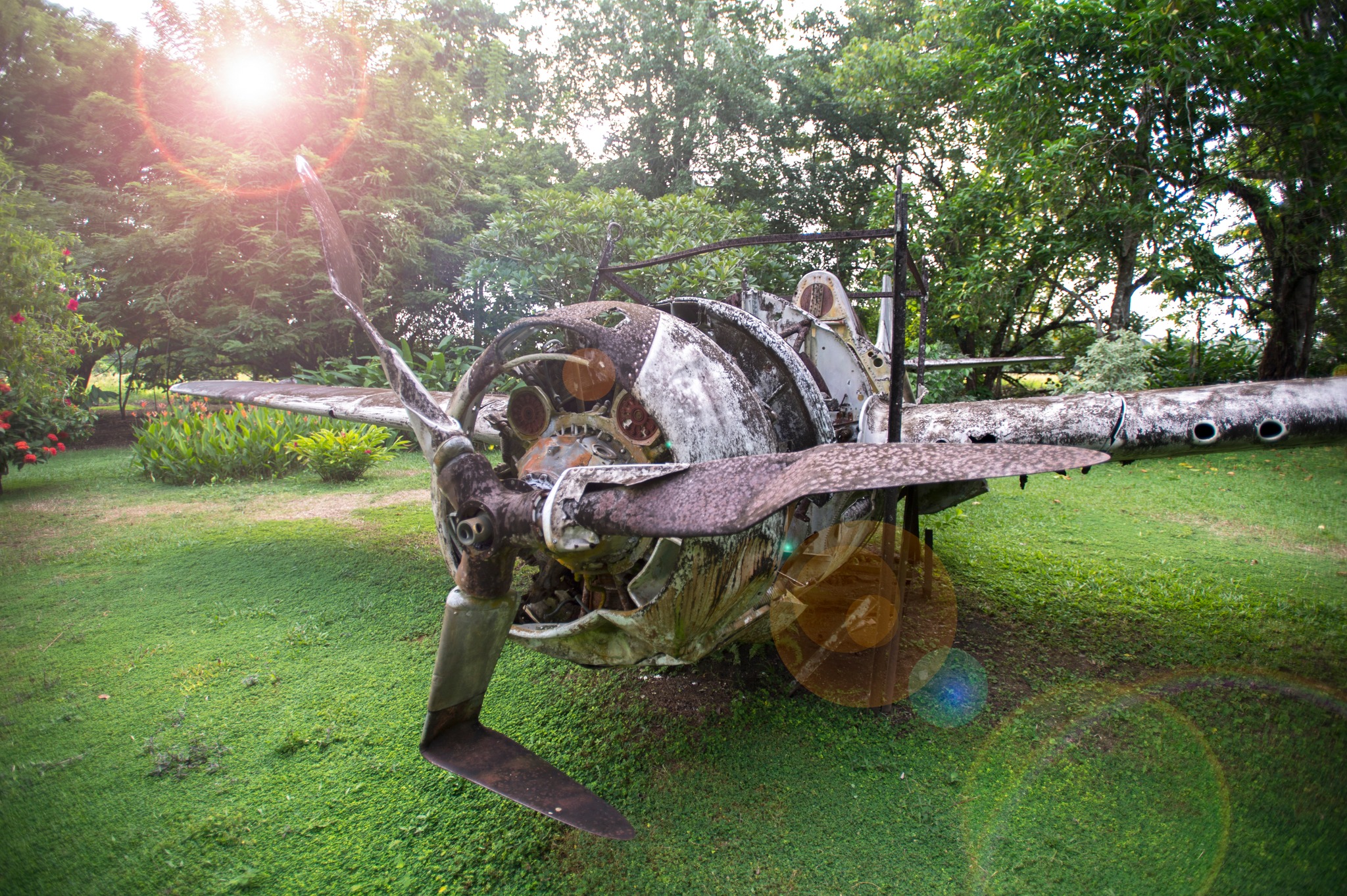 World War 2 remains